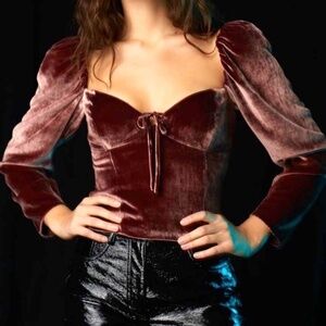 Wilfred Novella Velvet Blouse